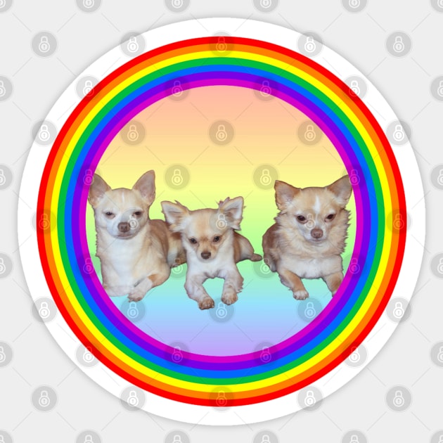 Chihuahua Brothers Sticker by BarkPink